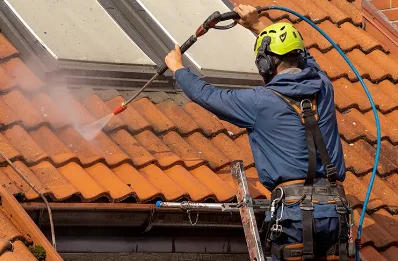 Démoussage et hydrofuge de toiture à Pleuville